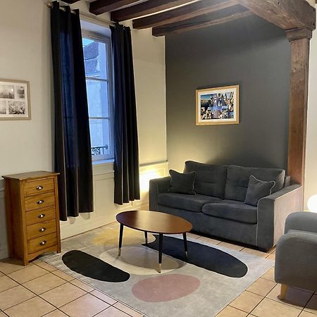 Appartement Le Coche D'Eau Auxerre Les Quais Экстерьер фото